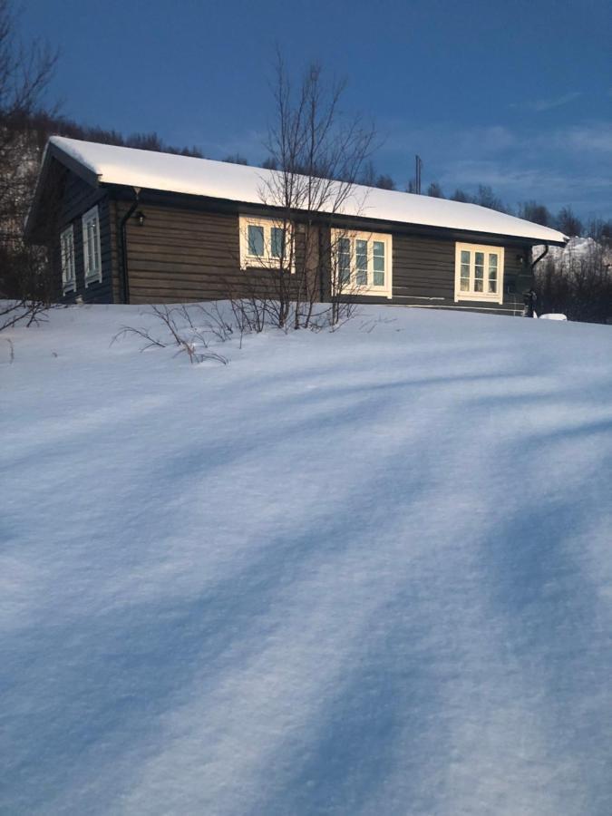Cottage Lavkavann Finnmarksvidda Skoganvarre المظهر الخارجي الصورة